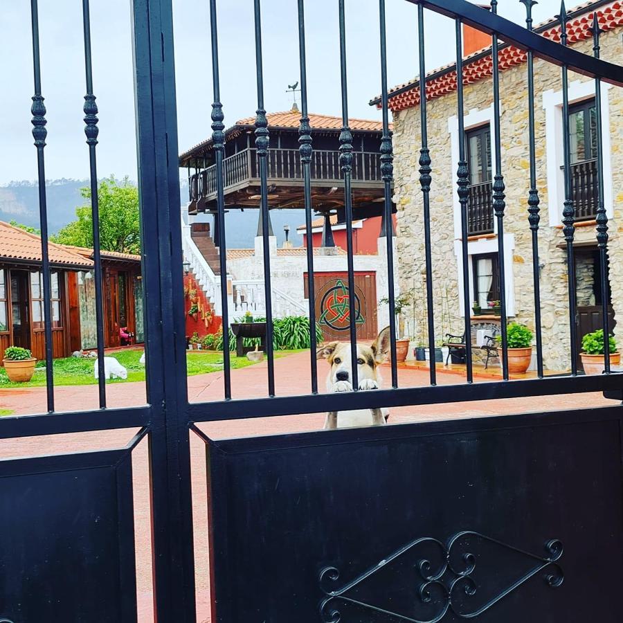 El Perlindango (Adults Only) Guest House Villademar Ngoại thất bức ảnh